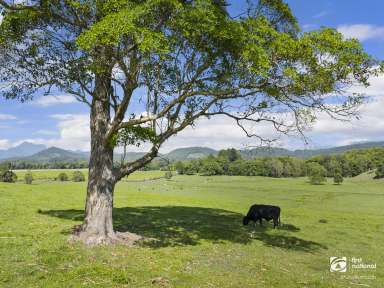 Farm For Sale - NSW - Dulguigan - 2484 - Stunning Property at your Fingertips  (Image 2)