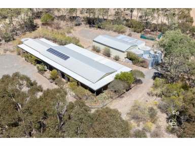 Farm For Sale - SA - Mount Pleasant - 5235 - Prime lifestyle property in a great location  (Image 2)