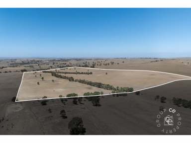 Farm For Sale - SA - Mount Pleasant - 5235 - Prime lifestyle property in a great location  (Image 2)