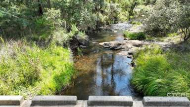 Farm For Sale - VIC - Bonang - 3888 - Off Grid Paradise in the Hills  (Image 2)