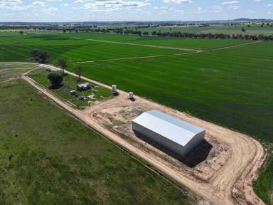 Farm For Sale - NSW - Wagga Wagga - 2650 - Prime Irrigation Expansion Opportunity  (Image 2)