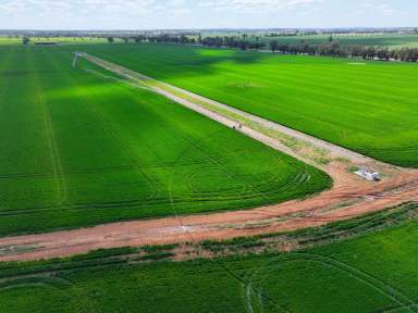 Farm For Sale - NSW - Wagga Wagga - 2650 - Prime Irrigation Expansion Opportunity  (Image 2)