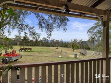 Farm For Sale - NSW - Cawongla - 2474 - LIFESTYLE PROPERTY - 2 COMPLETELY SEPARATED HOMES….. DID I MENTION THE VIEW!  (Image 2)