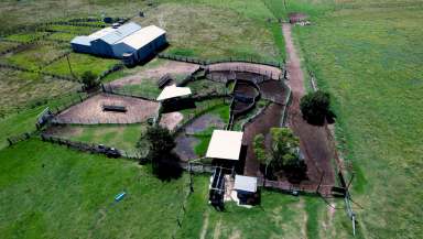 Farm Tender - NSW - Glen Innes - 2370 - High Carrying, Low input grazing enterprise  (Image 2)