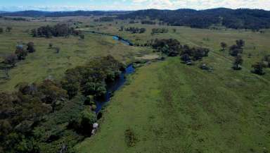 Farm Tender - NSW - Glen Innes - 2370 - High Carrying, Low input grazing enterprise  (Image 2)