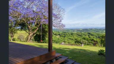 Farm For Sale - NSW - Eltham - 2480 - Stunning Views over Eltham Valley and Beyond  (Image 2)