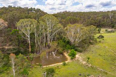 Farm For Sale - NSW - Goulburn - 2580 - PRIVATE OASIS  (Image 2)