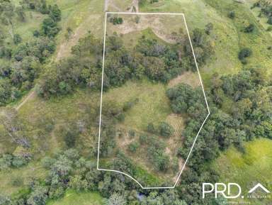 Farm For Sale - NSW - Homeleigh - 2474 - 12.5+ Acres with Creek  (Image 2)