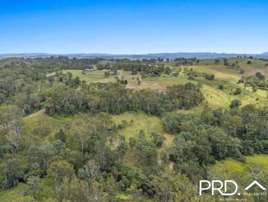 Farm For Sale - NSW - Homeleigh - 2474 - 12.5+ Acres with Creek  (Image 2)