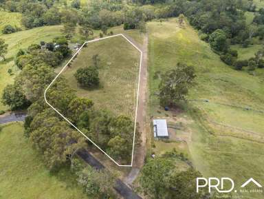 Farm For Sale - NSW - Homeleigh - 2474 - Peaceful Vacant Block  (Image 2)