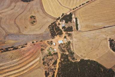 Farm For Sale - WA - Pingrup - 6343 - 'Tanami' - Definitely not the Desert!  (Image 2)