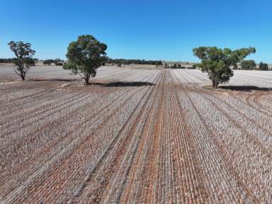 Farm Tender - NSW - Berry Jerry - 2701 - EXCELLENT STARTERS BLOCK OR A PERFECT ADD ON BLOCK  (Image 2)