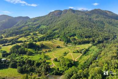 Farm For Sale - NSW - Eungella - 2484 - Idyllic Rural Lifestyle Property  (Image 2)