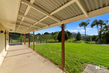 Farm For Sale - NSW - Eungella - 2484 - Idyllic Rural Lifestyle Property  (Image 2)