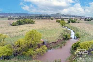 Farm For Sale - NSW - Glen Innes - 2370 - Prime Basalt Country 5 Minutes from town.  (Image 2)