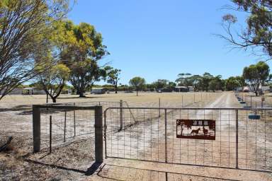 Farm For Sale - WA - Wagin - 6315 - Lifestyle Rural Retreat  (Image 2)