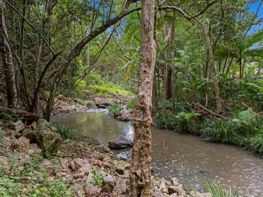 Farm For Sale - QLD - Mudgeeraba - 4213 - A Tranquil Creekside Oasis in the Heart of The Gold Coast Hinterland  (Image 2)