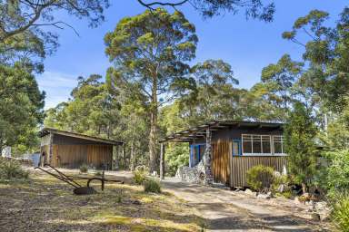 Farm For Sale - TAS - Fern Tree - 7054 - Charming handcrafted cottage in tranquil bush setting  (Image 2)