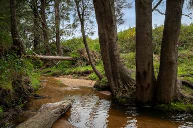 Farm Auction - NSW - Ganbenang - 2790 - 'Nunkeri' - Cinematic Views of the Valley and Beyond!  (Image 2)