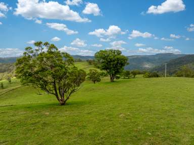 Farm Auction - NSW - Ganbenang - 2790 - 'Nunkeri' - Cinematic Views of the Valley and Beyond!  (Image 2)