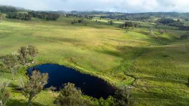 Farm For Sale - NSW - Pinkett - 2370 - "Killarney Vale" 3351 Pinkett Road via Glen Innes  (Image 2)