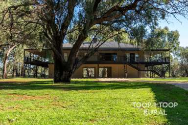 Farm For Sale - SA - Morgan - 5320 - Riverside Quality  (Image 2)