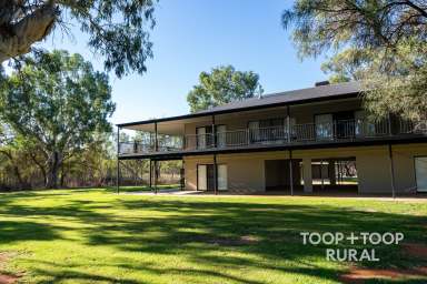 Farm For Sale - SA - Morgan - 5320 - Riverside Quality  (Image 2)