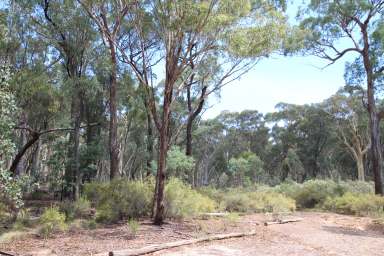 Farm For Sale - NSW - Bald Ridge - 2795 - The Ultimate Bush Block!  (Image 2)