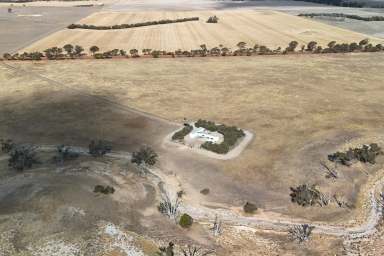 Farm For Sale - WA - Tambellup - 6320 - ESCAPE TO THE COUNTRY - 160 ACRES  (Image 2)