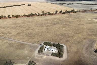 Farm For Sale - WA - Tambellup - 6320 - ESCAPE TO THE COUNTRY - 160 ACRES  (Image 2)