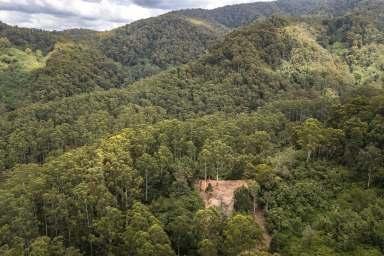 Farm For Sale - NSW - Upper Lansdowne - 2430 - Biodiverse Wonderland  (Image 2)