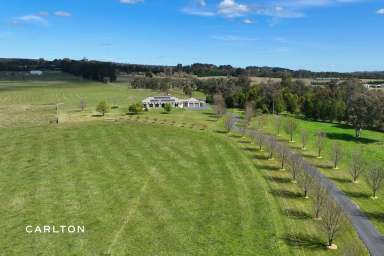 Farm For Sale - NSW - High Range - 2575 - Commanding, Elevated and Expansive Rural Views  (Image 2)