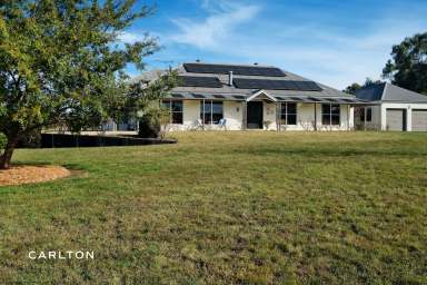 Farm For Sale - NSW - High Range - 2575 - Commanding, Elevated and Expansive Rural Views  (Image 2)