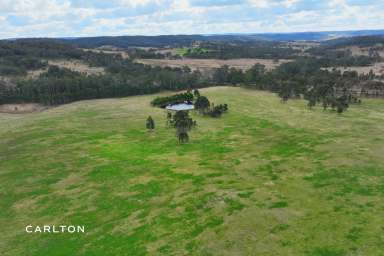 Farm For Sale - NSW - Big Hill - 2579 - Idyllic Rural Retreat for Sale: Perfect for Your Hobby Farming Dreams  (Image 2)