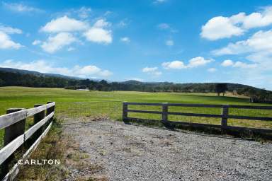 Farm For Sale - NSW - Big Hill - 2579 - Idyllic Rural Retreat for Sale: Perfect for Your Hobby Farming Dreams  (Image 2)