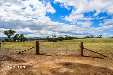 Farm For Sale - NSW - Wingello - 2579 - Discover Paradise In Wingello  (Image 2)