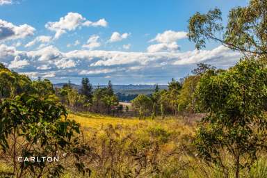 Farm For Sale - NSW - Wingello - 2579 - Discover Paradise In Wingello  (Image 2)