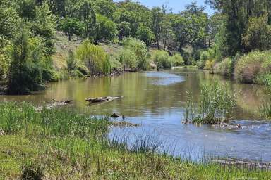 Farm For Sale - NSW - Merriwa - 2329 - Oasis on the River  (Image 2)