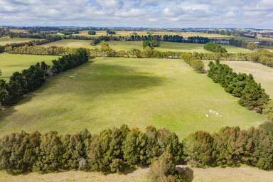 Farm For Sale - NSW - Roslyn - 2580 - Outstanding grazing opportunity  (Image 2)