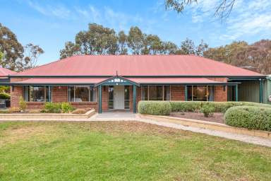 Farm For Sale - SA - Nairne - 5252 - A country escape 2 minutes from town  (Image 2)