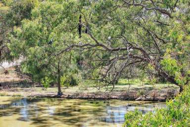 Farm For Sale - VIC - Echuca - 3564 - Small Acreage Close to Town  (Image 2)