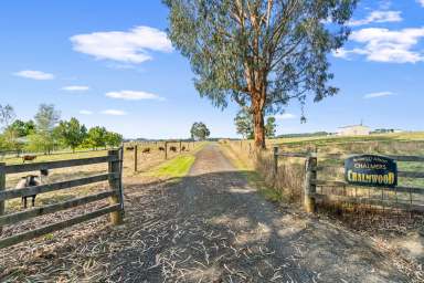 Farm For Sale - VIC - Callignee - 3844 - Chalmwood  (Image 2)