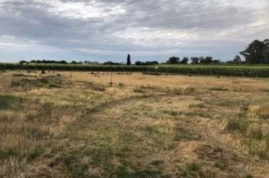 Farm For Sale - VIC - Irymple - 3498 - RARE 1-ACRE VACANT BLOCK NEXT TO VINEYARDS!  (Image 2)