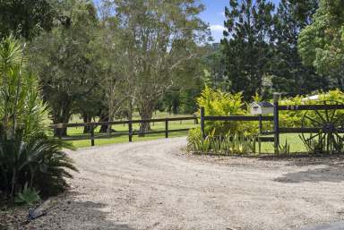 Farm For Sale - NSW - Clothiers Creek - 2484 - RARE CLOTHIERS CREEK GEM  (Image 2)