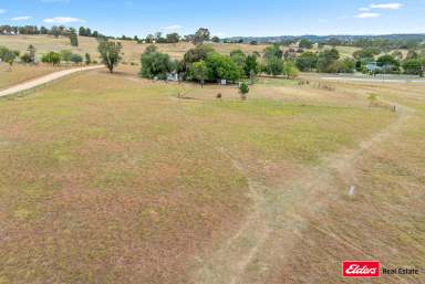 Farm For Sale - NSW - Young - 2594 - 5 Acres with House and Bore.  (Image 2)