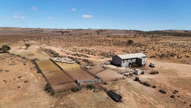 Farm For Sale - SA - Cavenagh - 5422 - ‘Cavenagh’  (Image 2)