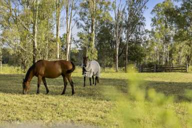 Farm For Sale - QLD - Lockyer - 4344 - 'Kintyre Biel' - 27 acres  (Image 2)