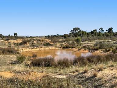 Farm For Sale - VIC - Moyreisk - 3477 - Secluded 381-Acre Bush Retreat with Stunning Pyrenees Ranges Views  (Image 2)