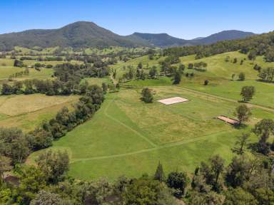 Farm For Sale - NSW - Kyogle - 2474 - COLLINS CREEK GEM  (Image 2)