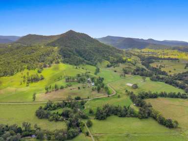 Farm For Sale - NSW - Kyogle - 2474 - COLLINS CREEK GEM  (Image 2)